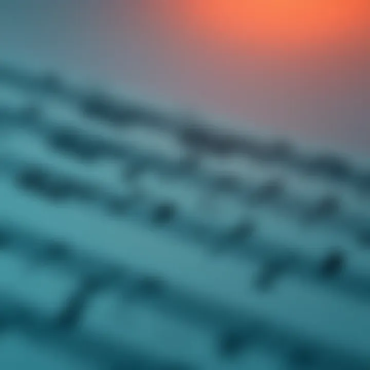 Examples of Simple and Rounded Binary Forms in Music Musical score excerpt highlighting simple and rounded binary forms for comparison, demonstrating their distinct compositional approaches