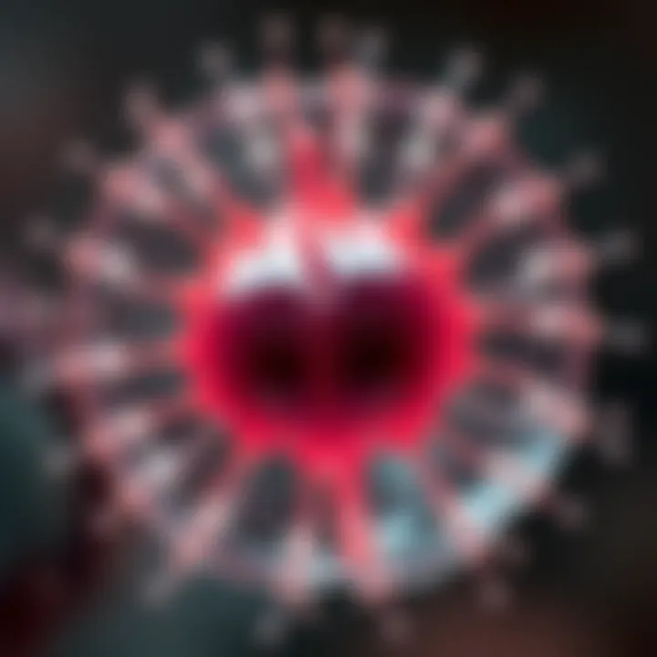 Unicellular protist splitting into two identical cells through binary fission